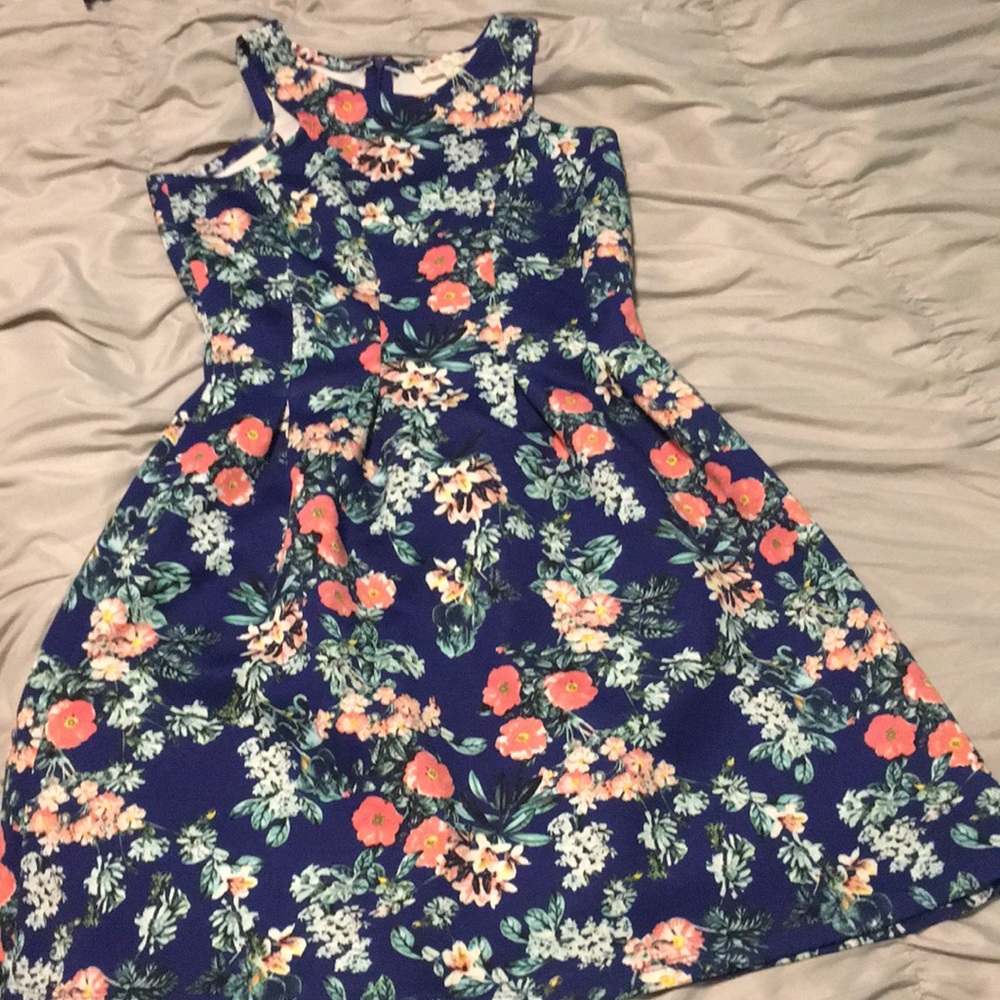 Pink Rose Skater Dress Small
